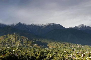 Camping in Manali, Himachal Pradesh 