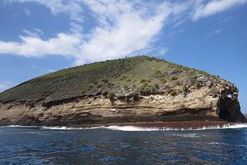 Snorkeling tour at tortuga island from Isabela