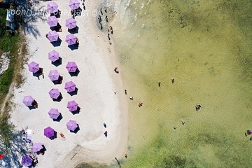 VietJeep - Explore the Northern Phu Quoc by US army jeep