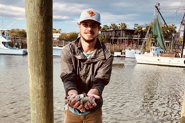 Behind the Scenes of Shem Creek Shrimp Walking Tour