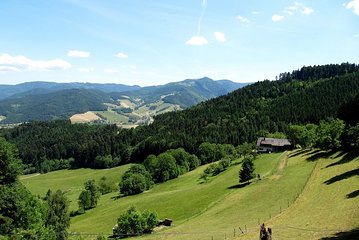 Black Forest Day Tour