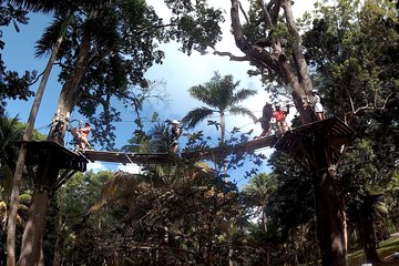 Zip Line over the Dunns River Falls
