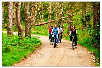 Cycling the Greenway & gourmet picnic. Mayo. Private guide.