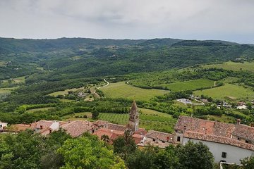Full day tour of Istria with truffle tasting