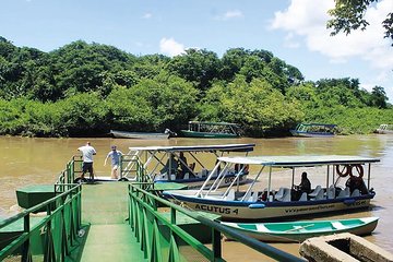 Palo Verde National Park Boat Tour and Lunch