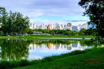 Amazing São Paulo overview in 4 or 5 hours with a private guide