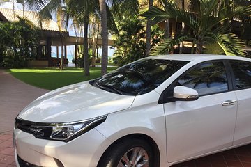 City-Tour and Fortaleza (central market, cathedral, Fort, Theaters, encetur, P.ferreira