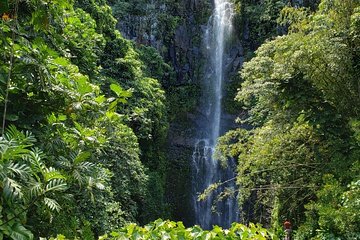 Road to Hana Adventure in Maui- Private - Just for Your Group
