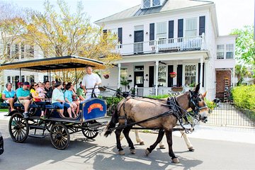 Daytime Horse-Drawn Carriage Sightseeing Tour of Historic Charleston