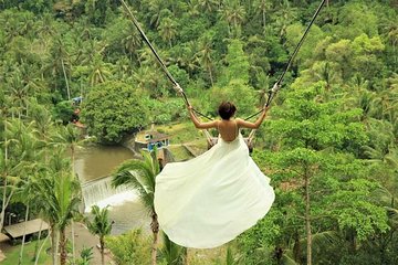 Ubud: Monkey Forest, Jungle Swing, Rice Terrace, and Water Temple