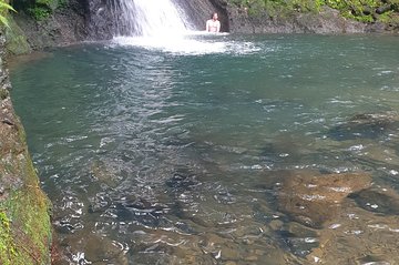 *Cruise Stopover* - Tropical Forest - Sainte-Anne Beach