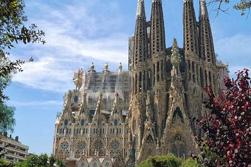 Sagrada Familia: Fast Track Guided Tour with optional Tower