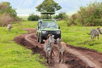 2 Days Selous Game Reserve Safari from Zanzibar or Dar es salaam