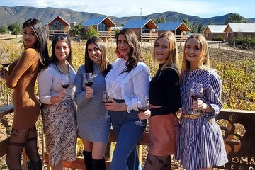 Valle de Guadalupe Wine Tour