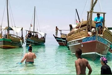 Dolphin tour and snorkeling in kisite marine park / wasini island