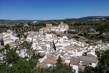 White Villages and Ronda Day Trip from Seville