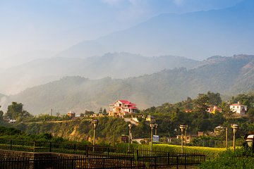 Shimla Nature Walk (3 Hours Guided Trekking Experience)
