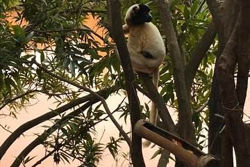 Two days tour to Ampefy