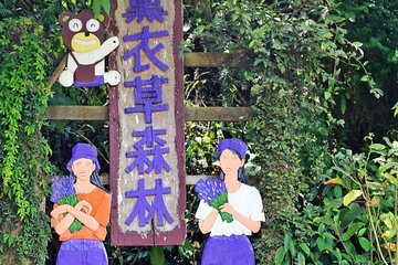 Full-Day Taichung and Lavender Cottage Private Tour with Lunch