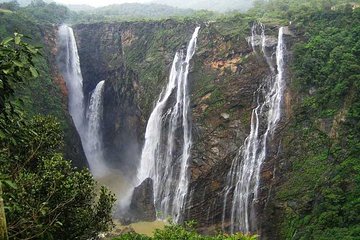 Bhopal to Satpura National Park 3-Days Private Tour