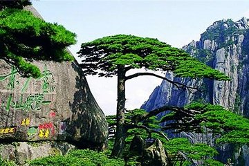 All Inclusive Huangshan Yellow Mountain and Tunxi Old Street Private Day Tour
