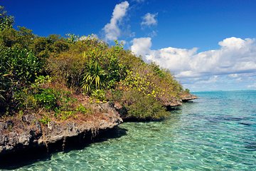 Ile aux Aigrettes - Tea Route - Gris Gris Private Guided Tour (Min. 2 persons)