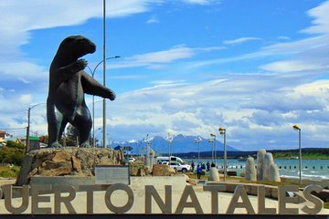Puerto Natales: Bus ticket to El Calafate, Argentina