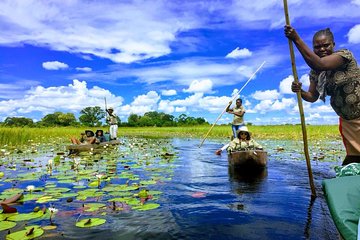 3 Day Mokoro Camping Safari - Boro Island Adventure