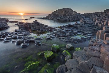 Giants Causeway, Rope Bridge, Carrickfergus Castle and Dark Hedges Tour