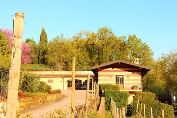 Discovering the wines of Franciacorta