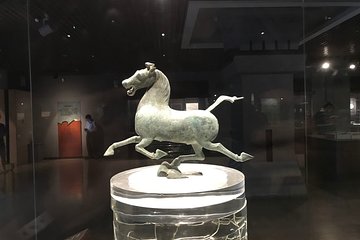 Private Lanzhou Day Tour: White Pagoda Hill, Zhongshan Bridge, Yellow River etc 