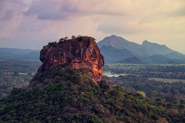 Sigiriya Rock and Wild Elephant Safari from Dambulla