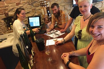 "Le petit Alsacien" Tour with Local private friendly driver and a Tesla