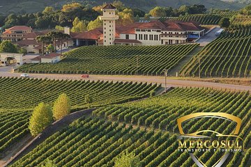 Vale dos Vinhedos: Private Group Tour from Porto Alegre