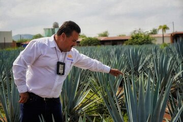 Tequila Tour