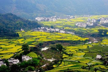 Wuyuan Scenic Area Private Transfer from Huangshan City