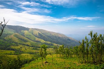 Day Trip to Chikmagalur (Guided Sightseeing Tour by Car from Mysore)
