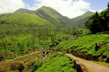 Day Trip to Wayanad (Guided Private Sightseeing Experience from Mysore)