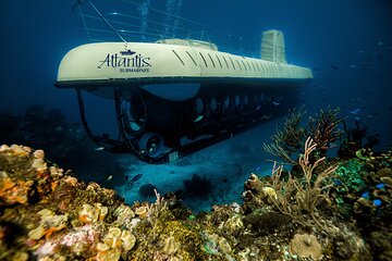 Cozumel Submarine Experience
