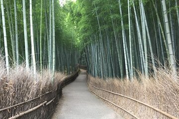 Full-Day Private Guided Tour in Kyoto, Arashiyama