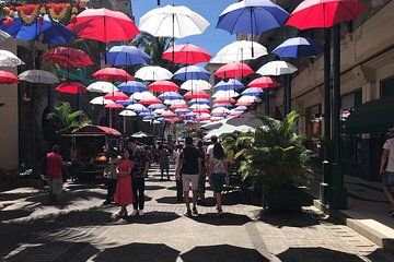 Mauritius full day : Private north tour