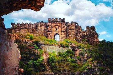From Islamabad: Full Day Rohtas Fort (UNESCO Heritage Sight ) Guided Trip
