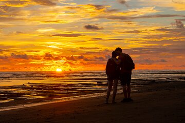 Corcovado and Drake Bay 2-Day Small-Group Safari Guided Tour
