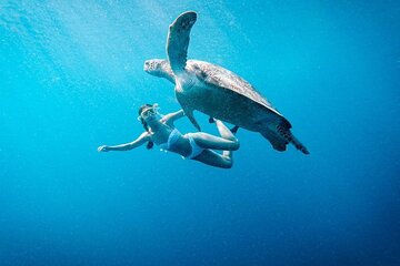 Gili Island Snorkeling Trip - Gili Trawangan, Gili Meno, & Gili Air, From Lombok