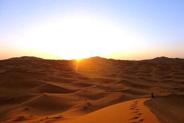 Experience In the footsteps of the nomads