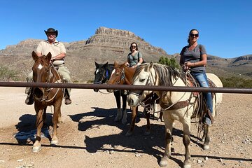 Horseback Ride, Joshua Tree Forest, Buffalo, Singing Cowboy SmGrp