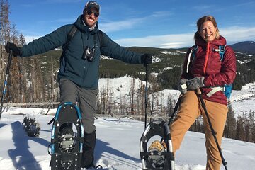 Yellowstone Snowshoe Safari from Bozeman - Private Tour