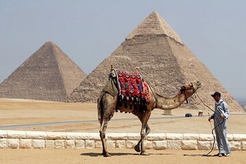 Private Day from Sharm to Cairo by plane, all entrance fees, Camel, Lunch, Guide