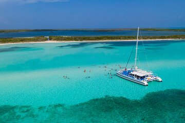 El Cielo, Palancar Snorkel & Beach Party Experience
