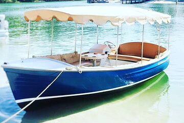 Relaxing Eco Friendly Electric Picnic Boat Cruise on the Noosa River